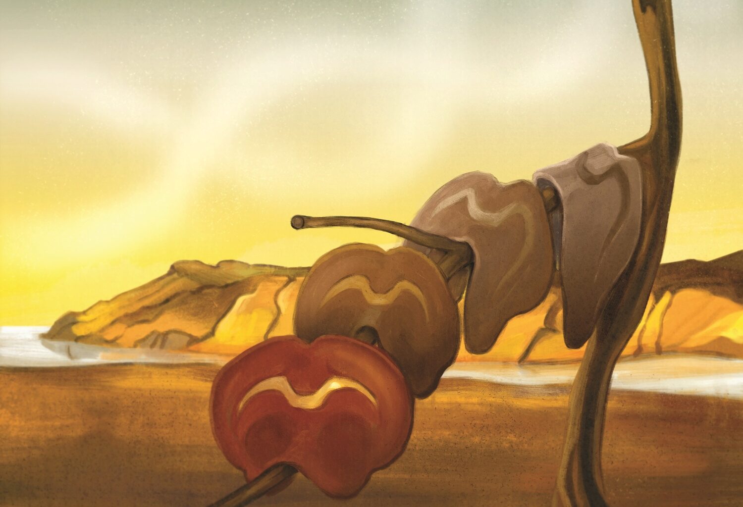 Forskare kartlägger hur hjärnan utvecklas och hur den hanterar inflammation