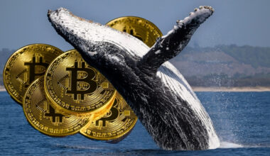 Black friday Placera