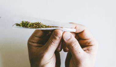 Generna kan påverka vem som fastnar för cannabis – Accent