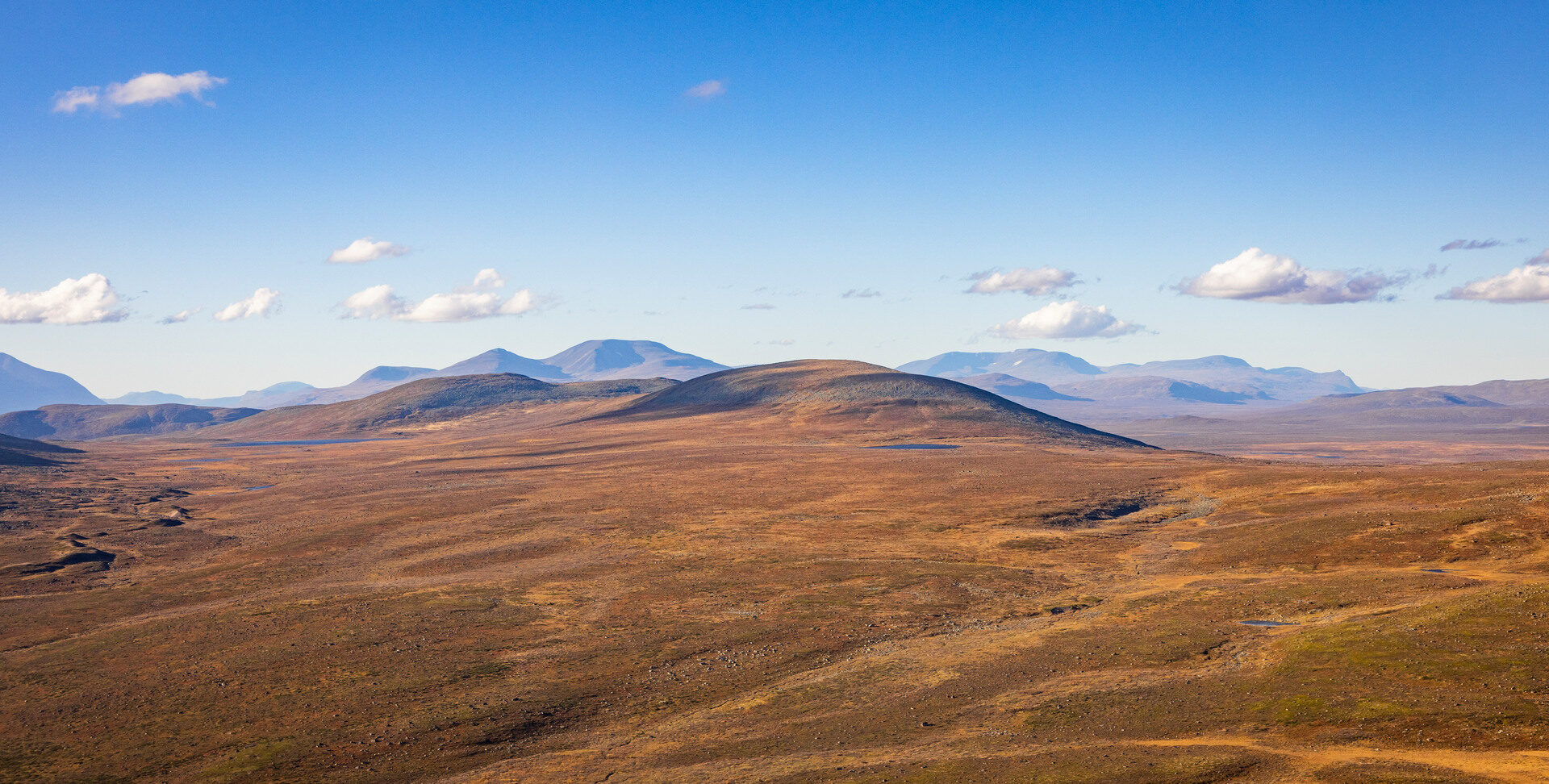 Staten och JK kovänder i fjälljaktsmål