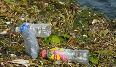 Studie: Plast kan designas att brytas ned inom loppet av dagar