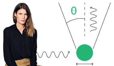 Helena Granström: Världen, som den egentligen inte är