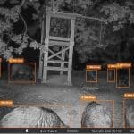 AI revolutionerar viltövervakningen