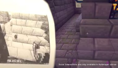 Spelar Minecraft på en kvittoskrivare: YouTuber når Ender Dragon och blir viral