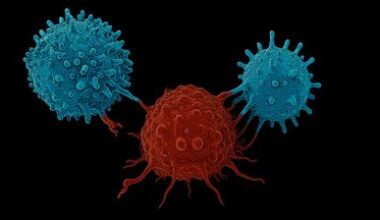 "Tidsfönster" öppnar för bättre behandling av en av de dödligaste cancerformerna