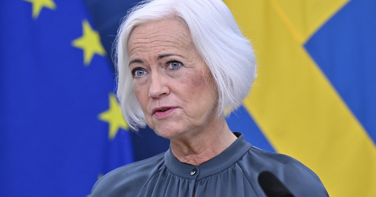 Hoppade av som minister – nu blir Acko Ankarberg Johansson landshövding i Västmanland