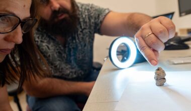 Nyhet avslöjas av 12 000 år gammal lerklump