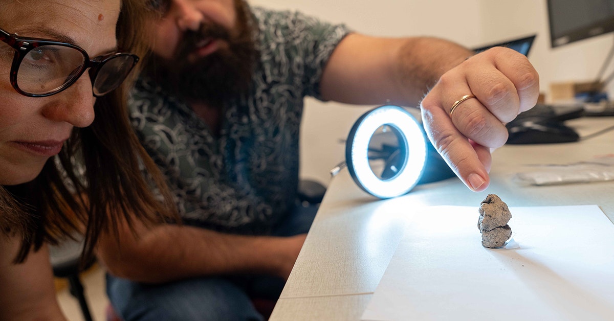 Nyhet avslöjas av 12 000 år gammal lerklump