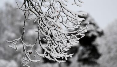 Ovanligt varmt i november – snart vänder det