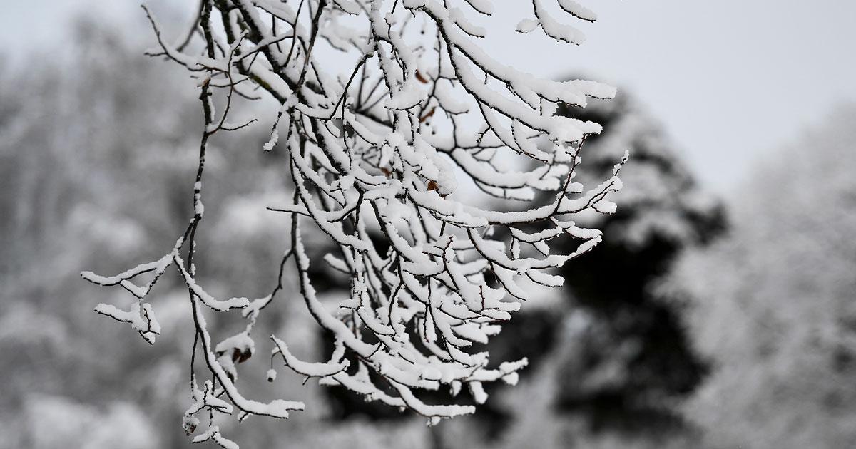 Ovanligt varmt i november – snart vänder det