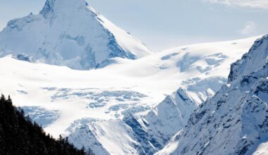 Fem tyskar döda i lavin i Italien
