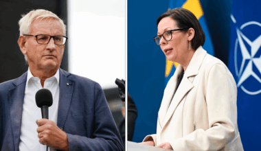 Bildts förslag nobbas – ingen ny underättelschef