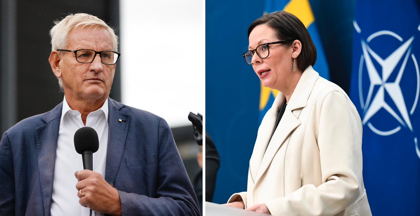 Bildts förslag nobbas – ingen ny underättelschef