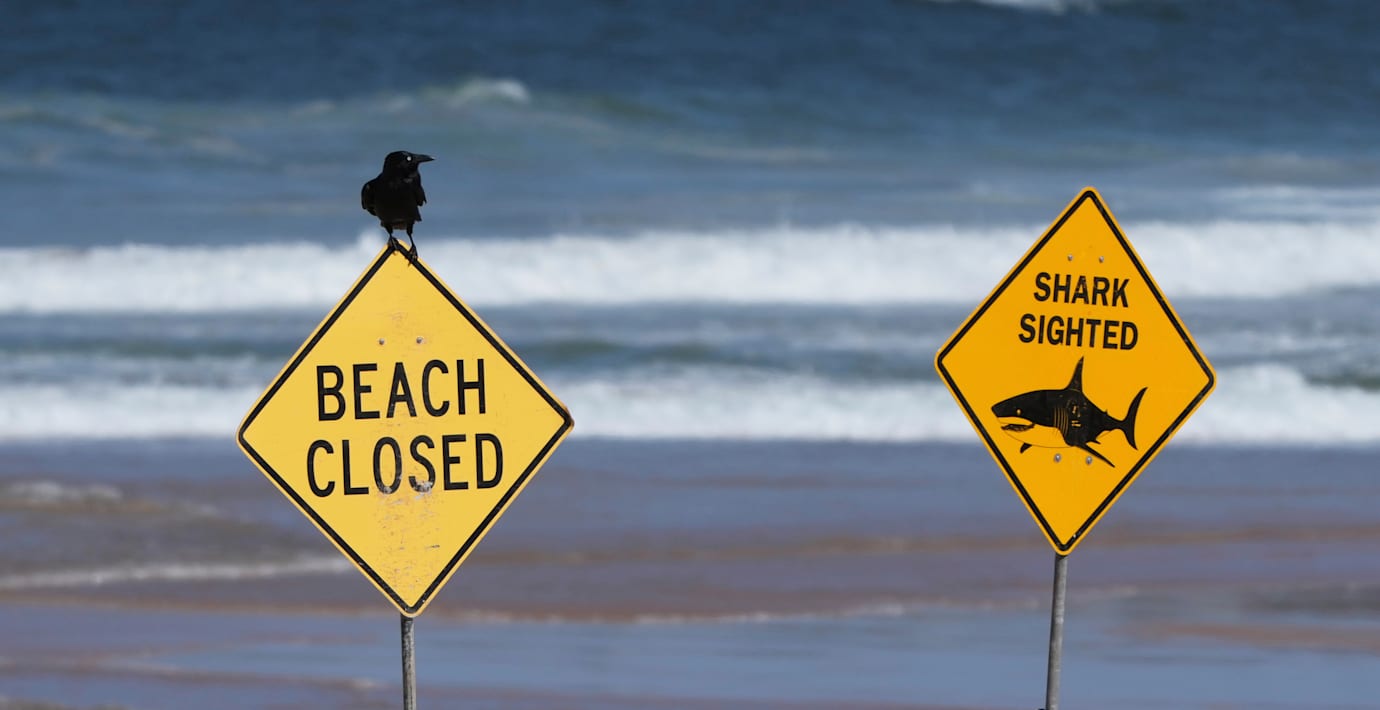 Kvinna död i hajattack – man allvarligt skadad
