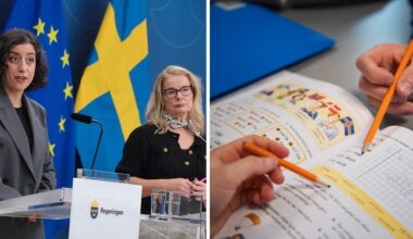 Ett samhällsproblem om yrkesrollen begränsas