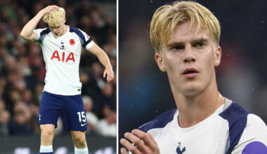 Bergvall kan ha klarat sig från hjärnskakning, enligt FD:s uppgifter