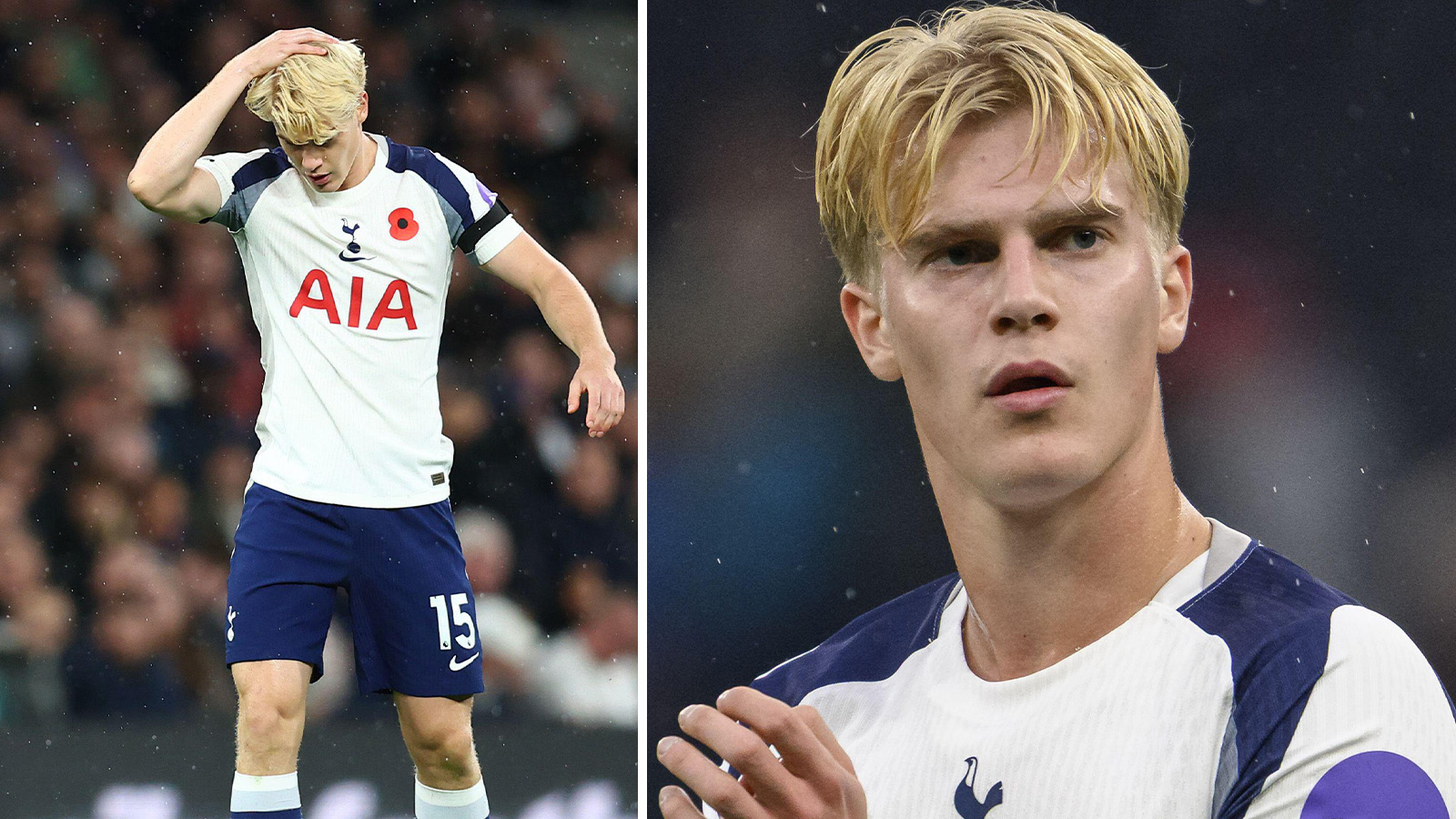 Bergvall kan ha klarat sig från hjärnskakning, enligt FD:s uppgifter