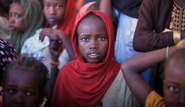 RSF:s ja till vapenvila beskrivs som skenmanöver