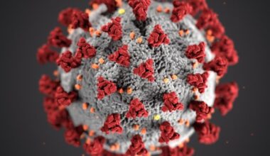 “Kan knäcka alla virus” – unikt läkemedel på gång