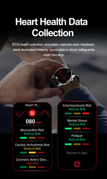 (Bildkälla: Rogbid)