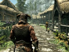 Bild från spelet The Elder Scrolls V: Skyrim. (Bildkälla: Steam)