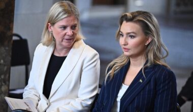 S är ensam vinnare på Buschs utspel