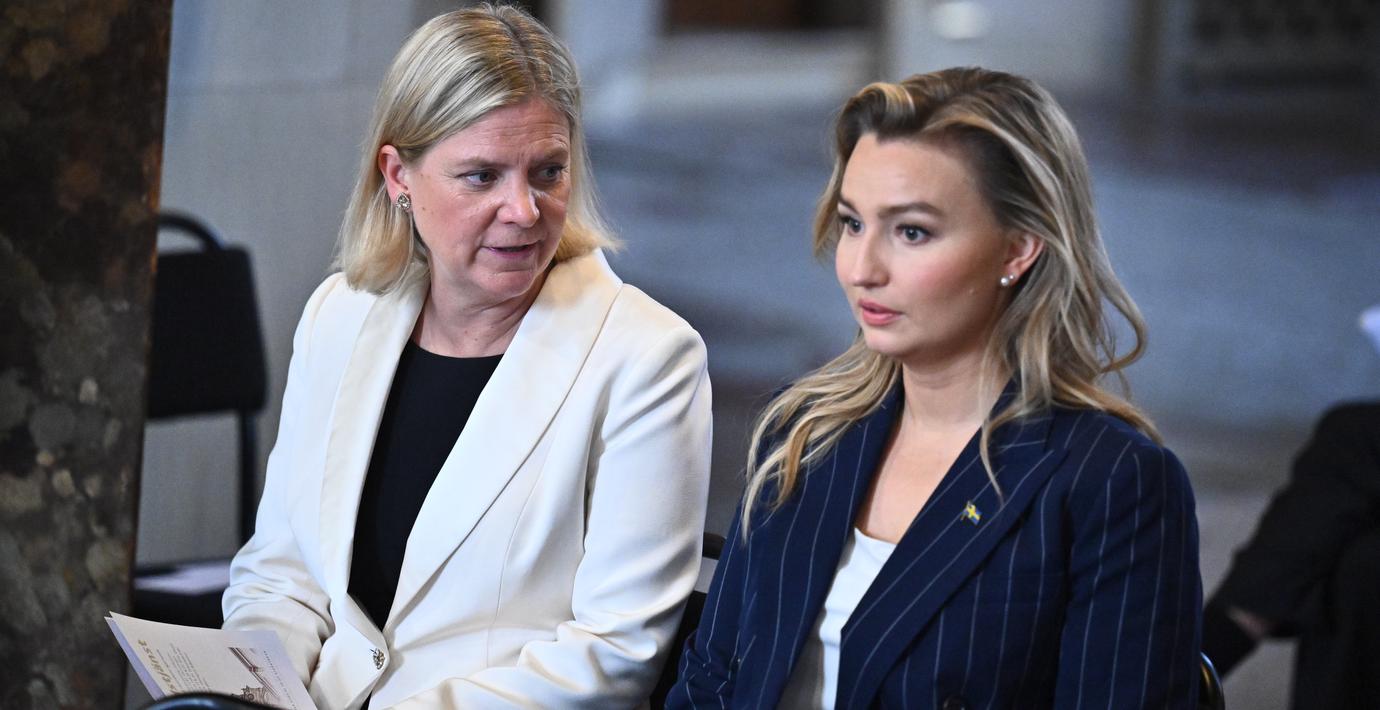 S är ensam vinnare på Buschs utspel