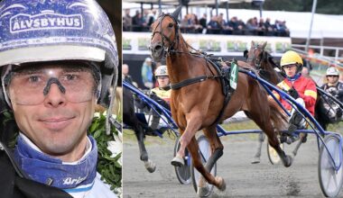 50 miljoner i V85-jackpott – stall Wäjersten om sina tio starthästar på Bergsåker