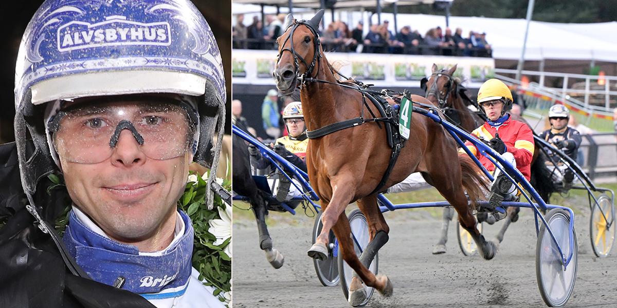 50 miljoner i V85-jackpott – stall Wäjersten om sina tio starthästar på Bergsåker