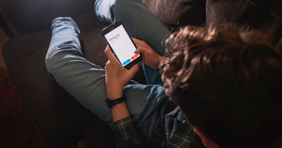 FI varnar för meme-aktier: ”Går snabbt utför”