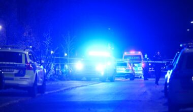 WIDAR ANDERSSON: Revolution: Våldets påverkan på Sveriges trygghet och lagar - NT