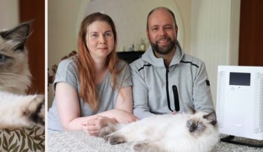 ”Nu kan vi ha katt hemma”