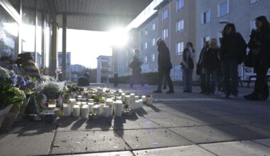 Unga gängmördare ska kartläggas