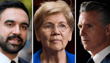 Demokratiska profiler sågar partikamrater: ”Patetiskt”