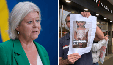 Regeringen kallar till möte om barnsexdockorna