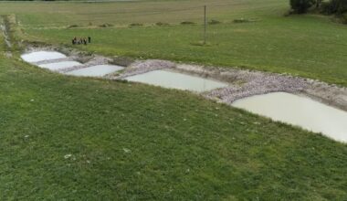 Våtmark på åkern – HD