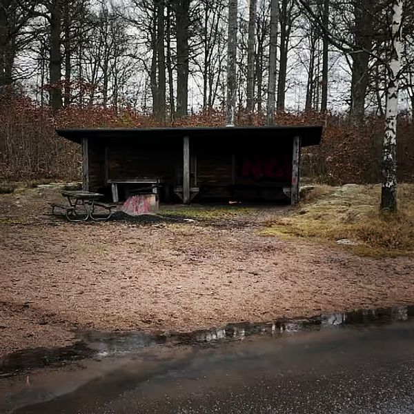 Kvinna i rosa slöja med suddat ansikte samt en rastplats i skogsmiljö.
