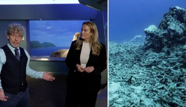 Mörka siffran: Planeten går mot 2,5 graders uppvärmning - SVT Nyheter