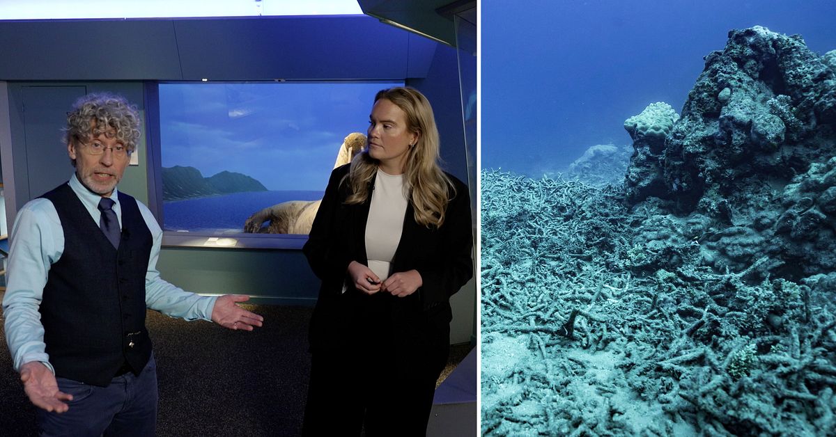 Mörka siffran: Planeten går mot 2,5 graders uppvärmning - SVT Nyheter