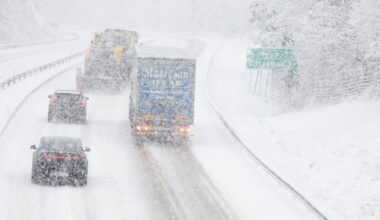 Kraftigt snöfall i delar av södra och mellersta Sverige - Radio Sweden på lätt svenska