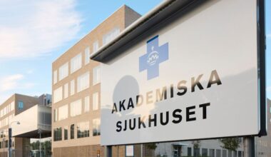 Högriskmelanom: Forskning tyder på att helkroppsavbildning som uppföljning efter operation inte förlänger överlevnaden