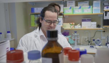 Snabbare och säkrare utveckling av CAR T-celler mot cancer