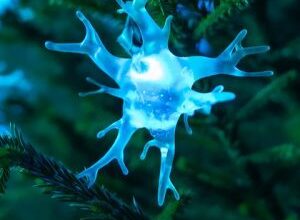 Hjärnans sjukdomar släcker ljus ny kampanj tänder hopp – Örebronyheter