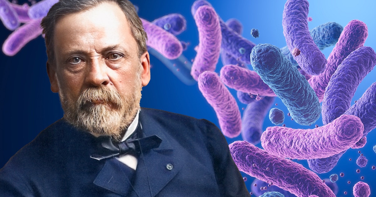 Louis Pasteur – mikrobiolog och kemist