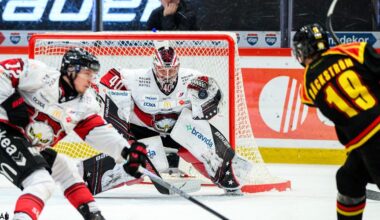 Segertåget för Björklöven fortsätter