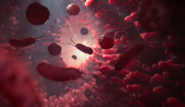 Vanliga läkemedel kan skada tarmfloran långsiktigt