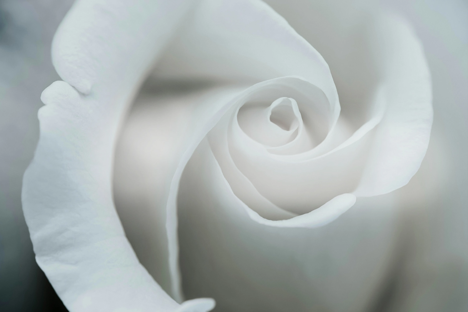 Till minne av Anna Karlsson (1958-2025)