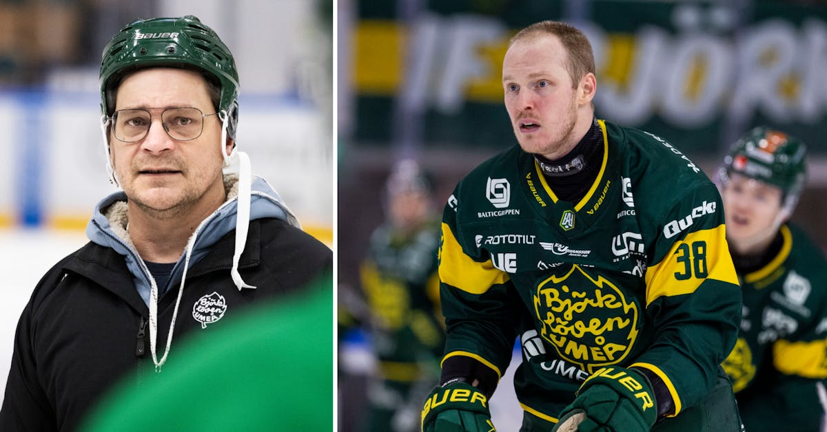 Oväntat drag: SHL-klubben värvar ex-lövet - Folkbladet