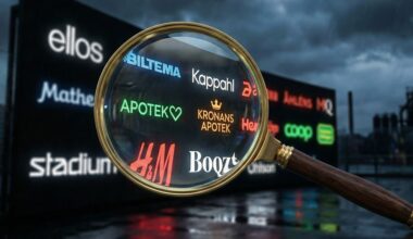 Lista: Alla e-handelsjättar som nu granskas enligt nya lagen