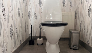 Toalettstol med papperskorg, toaborste och extra toapappersrulle.